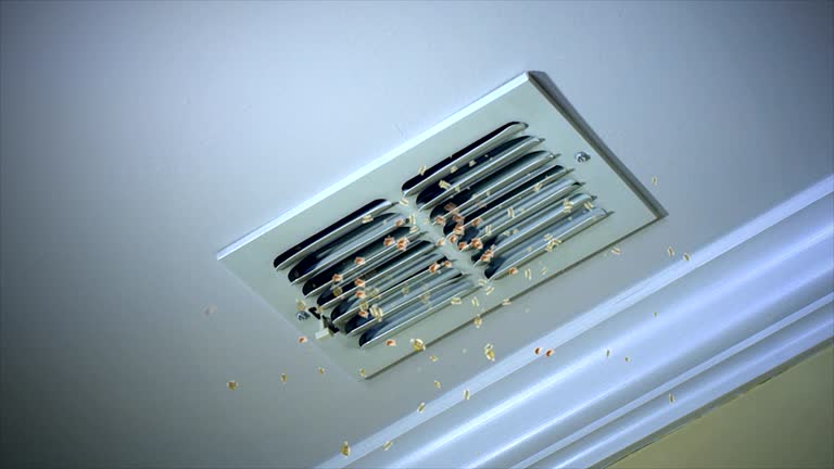 Best Best Air Duct Cleaning Near Me  in Jackson, MI
