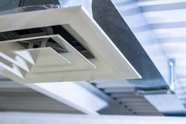 Best Home Air Vent Cleaning  in Jackson, MI